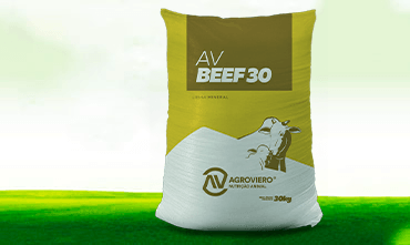 AV BEEF 30 FRENTE